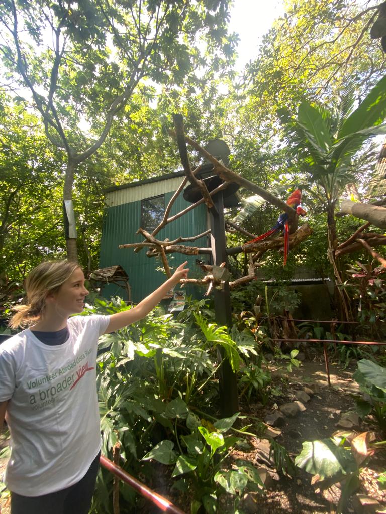 Volunteering in Costa Rica